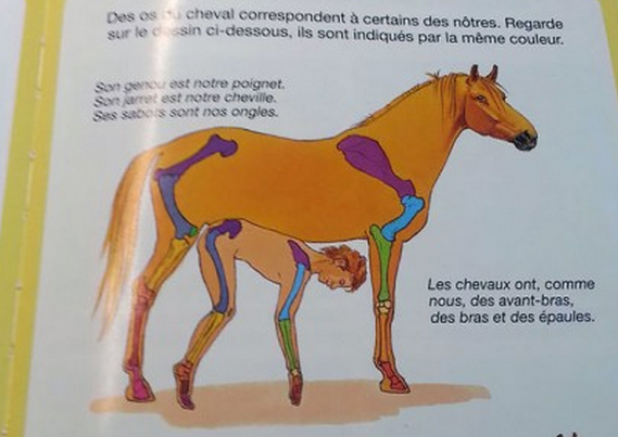 Sokkoló gyerekkönyvek - Ezeket tényleg gyerekeknek szánták?!