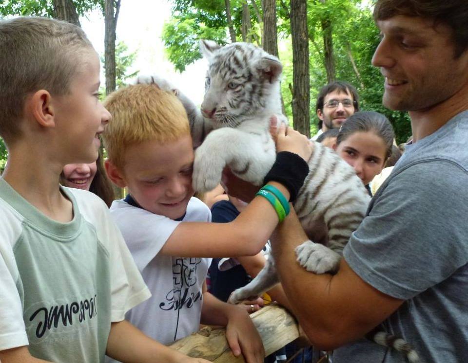 5 vadaspark Magyarországon, ami szuper őszi program lehet a gyerekekkel