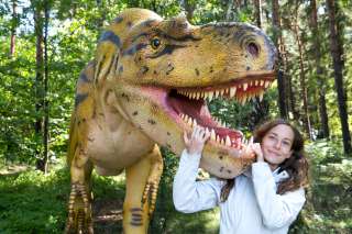 Állatkertek, vadasparkok, dinoszauruszok, lovasbemutatók, madárles - 20 szuper állatos hely Budapesten és vidéken, ahova menjetek el a gyerekkel!