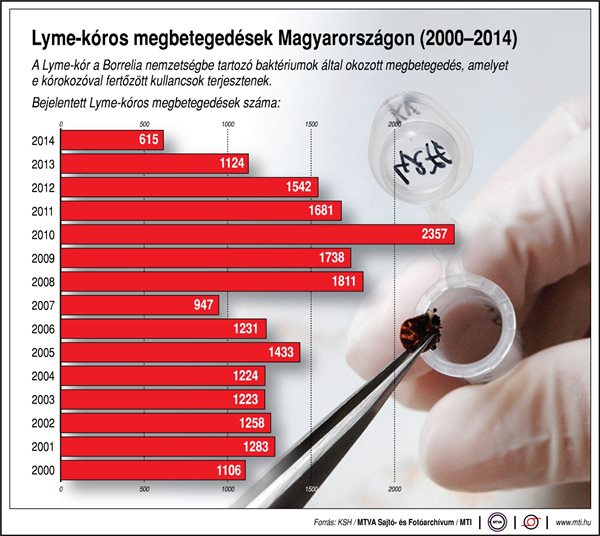 Kullancsinvázió! Óvodai udvaron, játszótéren, szabadtéren is megfertőződhet a gyerek - Mit tehetsz ellene?