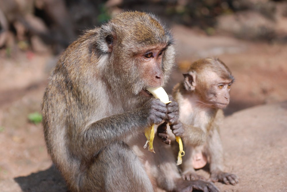 10 szuper hely a Mátrában, kisgyerekes családoknak - Hétvégi kiránduláshoz tökéletes!