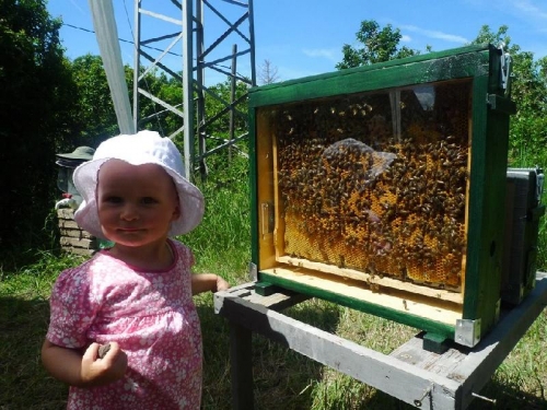 10 szuper hely a Mátrában, kisgyerekes családoknak - Hétvégi kiránduláshoz tökéletes!
