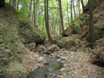 10 szuper hely a Mátrában, kisgyerekes családoknak - Hétvégi kiránduláshoz tökéletes!