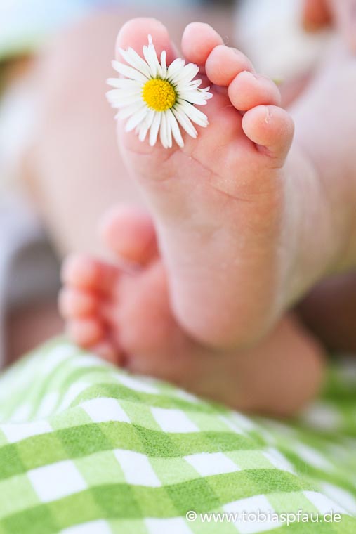 Megszületett a kisbabád? Fotókon 11 aranyos és vicces ötlet, hogyan tudasd az örömhírt