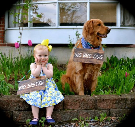 Jön a második baba? 17 aranyos fotós ötlet, hogyan jelentheted be az örömhírt a rokonoknak, ismerősöknek