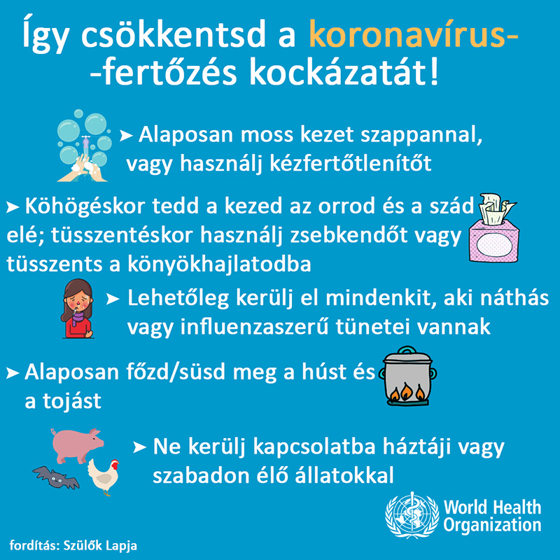 A helyes kézmosás szabályai: Így mosd a kezed, hogy elkerüld a vírusfertőzéseket! - Mikor kell feltétlenül kezet mosni?