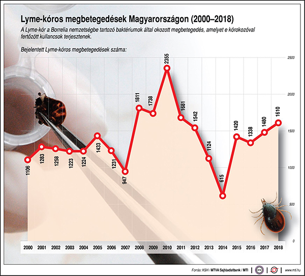 Figyelem, kullancsveszély: A városi parkokban, játszótereken is megcsíphet a kullancs! - Miért veszélyes a kullancscsípés?