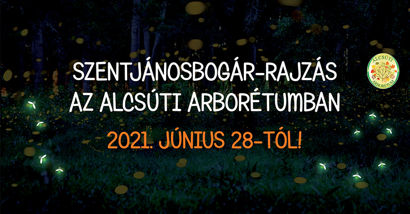szentjánosbogár 2021